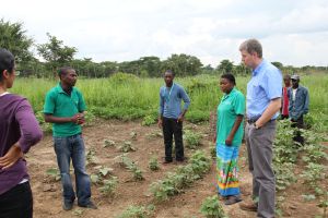 Looking at the diverse market garden produced by a smallholder mentor
