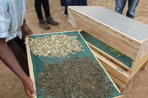 An innovative but simple seed drying tray system being trialled to retain goodness